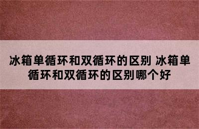 冰箱单循环和双循环的区别 冰箱单循环和双循环的区别哪个好